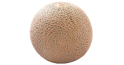 茨城産他 赤肉メロン 2L・1玉